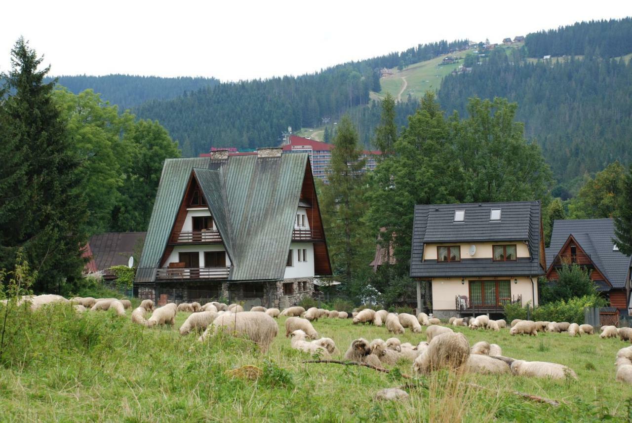 Domek Na Wierchu I Apartament Na Wierchu 扎科帕内 外观 照片